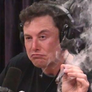 Meet your Posher, Dom